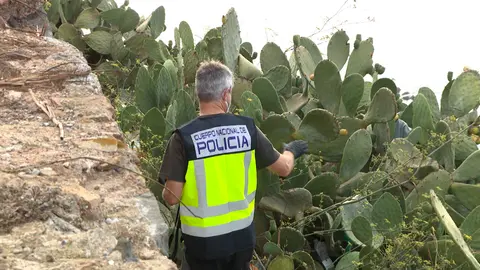 Policia Cientifica