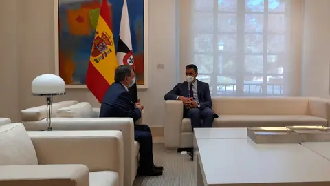 MUDO VIVAS - PEDRO SANCHEZ