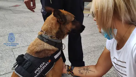 GUIA CANINO POLICIA  - PERRO