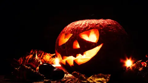 Halloween pumpkin, dark wooden background, selective focus