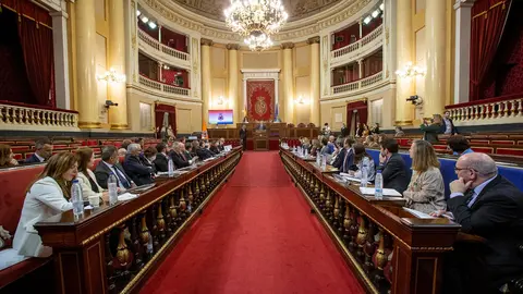 pleno_consejo_protección_civil_deu