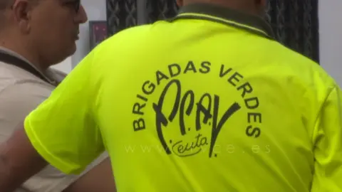 brigadas VERDES
