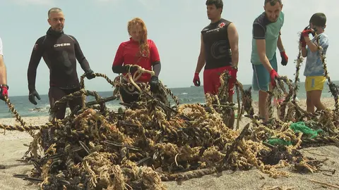 BASURALEZA CRUZ ROJA CALAMOCARRO PROYECTO LIBERA