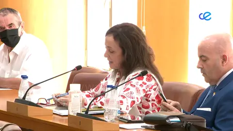 PLENO TURISMO DISCAPACIDAD NO ADSCRITA