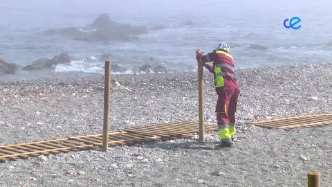 PLAYA DE PERROS