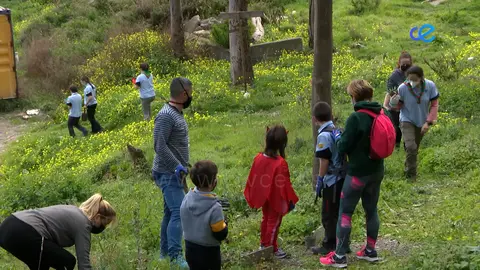 ESTUDIOS ORNITOLÓGICOS