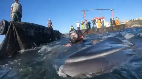 WhatsApp Image 2022-08-22 at 1.41.48 PM