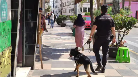 PLAN COMERCIO SEGURO