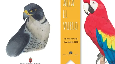 ALZA EL VUELO