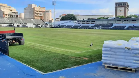 RESIEMBRA ALFONSO MURUBE