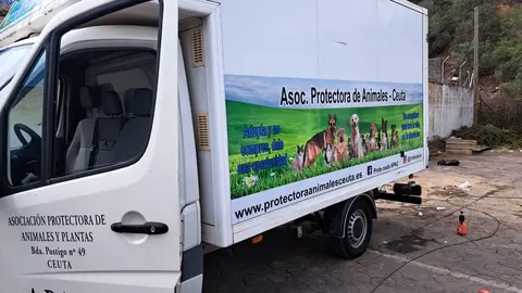 380172988_204757679287059_2814447741433811008_n