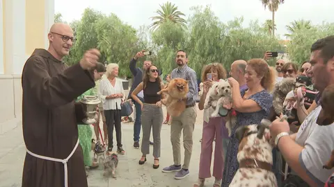 SAN DANIEL BENDICION PERROS