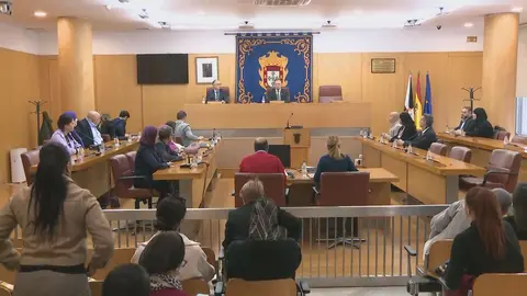 PLENO EXTRAORDINARIO 25N