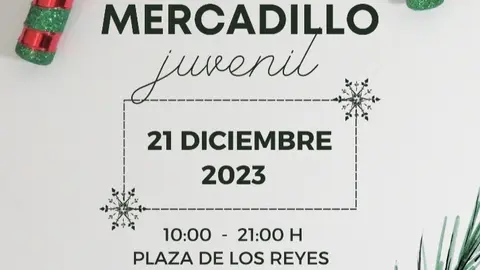 mercadillo juvenil casa de la juventud