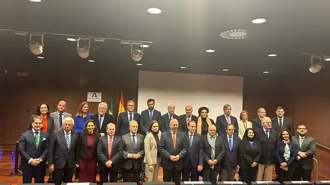 constitucion pleno consejo andaluz de camaras
