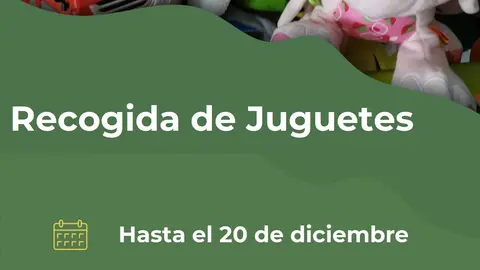 Recogida Juguetes
