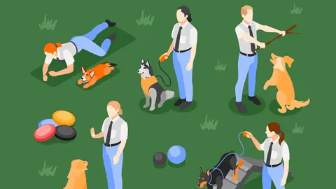 Cartel Curso Educación Canina