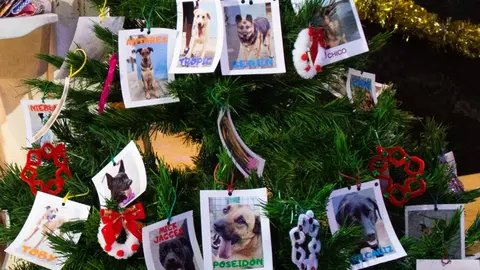 Árbol de Navidad Protectora