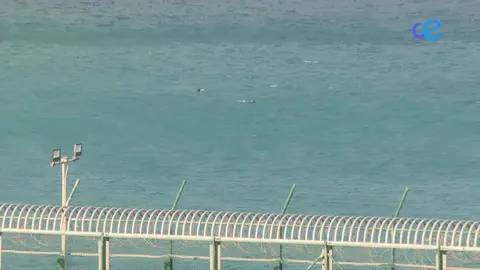 ENTRADAS MIGRANTES A NADO