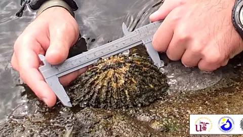 Imagen 1 Nota de prensa