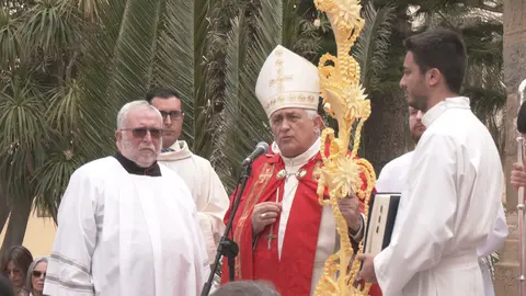 bendición palmas domingo ramos 2024
