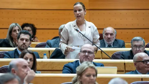 Senadora Isabel Moreno