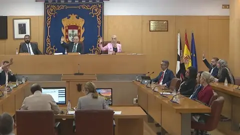 TRANSFUGAS PSOE PLENO