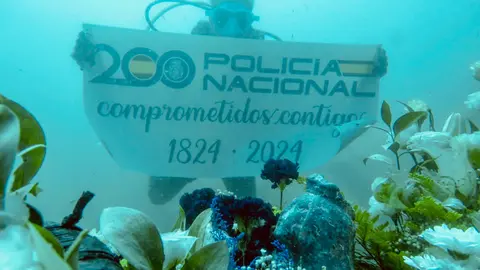 FOTO VIRGEN DEL CARMEN