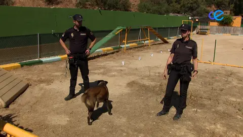 POLICIA PROTECTORA DE ANIMALES