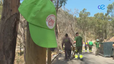 SENDEROS OBIMACE Y BRIGADAS VERDES
