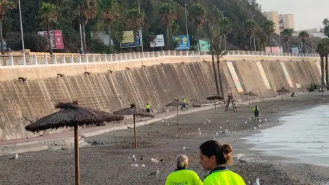 limpieza_TRACE_Chorrillo