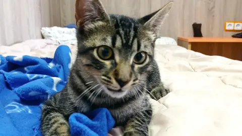 WhatsApp Image 2024-08-18 at 12.39.59