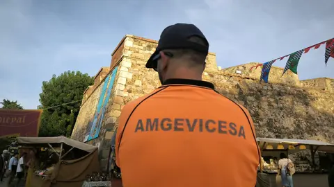 amgevicesa