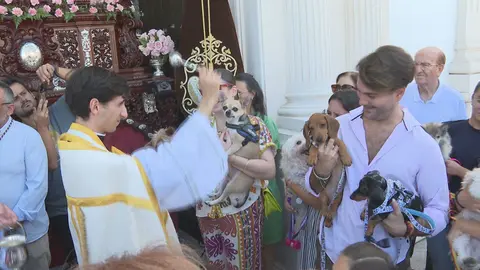 bendicion animales san daniel