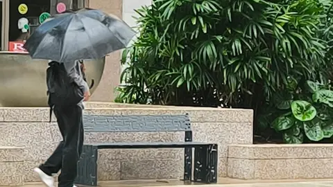 WhatsApp Image 2024-10-31 at 09.00.53