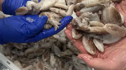 WhatsApp Image 2025-02-27 at 19.09.17 (2)