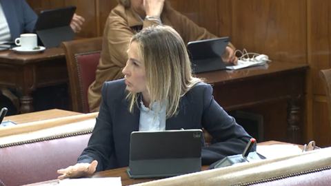 Cristina Díaz Senado