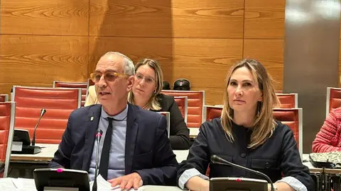 cristina díaz comisión educación senado