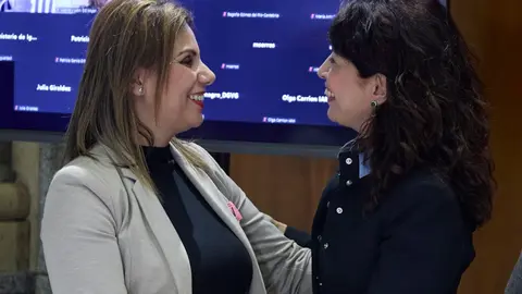 benzina ministra redondo