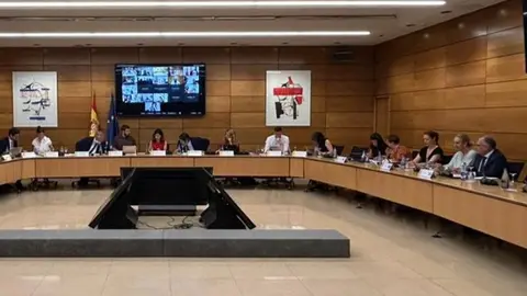 sectorial_infancia_junio_2025 2