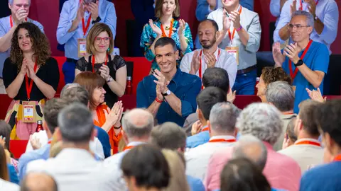 pedro sánchez psoe comité federal