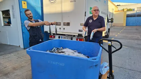 banco alimentos