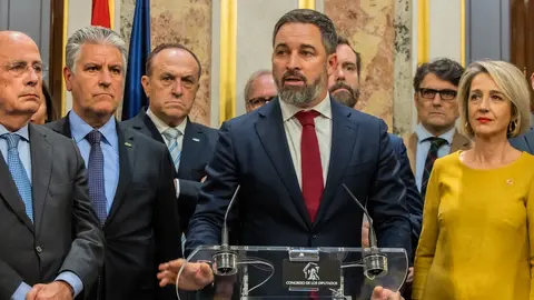 abascal vox diputados