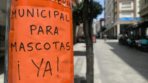 mascotas cementerio cartel