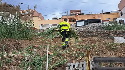 Desbroce Sarchal 7_2