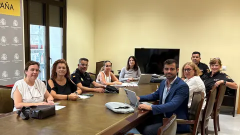 plan director violencia mujer