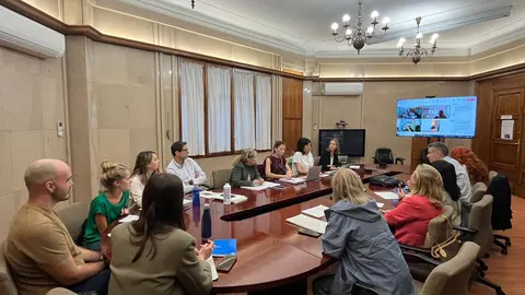 MESA SECTORIAL INGESA