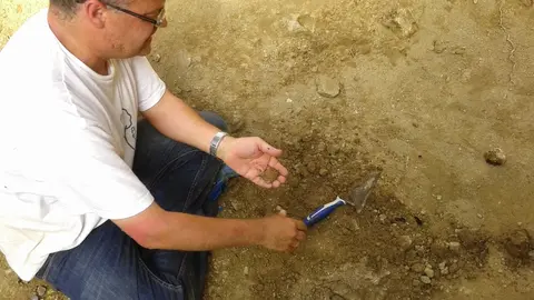 josé manuel pérez rivera