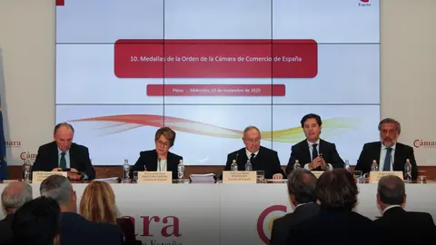 pleno cámara españa