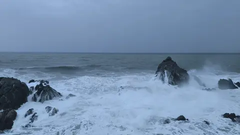 temporal